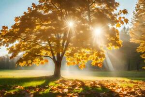 autumn tree with sun rays shining through leaves. AI-Generated photo