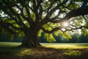the sun shines through the leaves of a large tree. AI-Generated photo