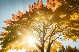 el Dom brilla mediante el hojas de un árbol. generado por ai foto