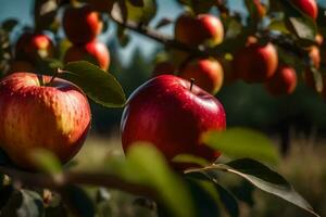 apples on a tree. AI-Generated photo