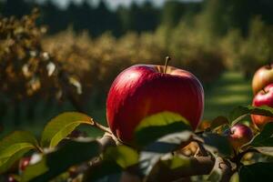 an apple is on the branch of a tree. AI-Generated photo