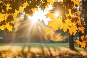 the sun shines through the leaves of a maple tree. AI-Generated photo