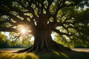 the sun shines through the trunk of an old oak tree. AI-Generated photo