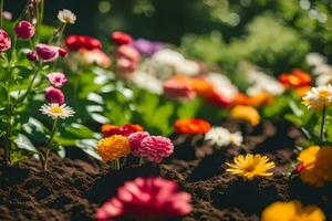 many different colored flowers are growing in the dirt. AI-Generated photo