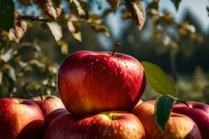 manzanas son apilado en parte superior de cada otro en un manzana huerta. generado por ai foto