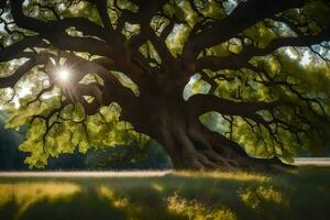 the sun shines through the branches of an old oak tree. AI-Generated photo