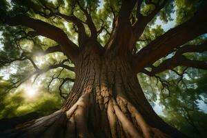 el Dom brilla mediante el ramas de un grande árbol. generado por ai foto