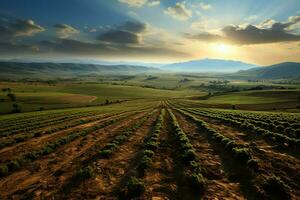 hermosa ver de un té campo plantación, viñedo granja o fresa jardín en el verde colinas a amanecer concepto por ai generado foto