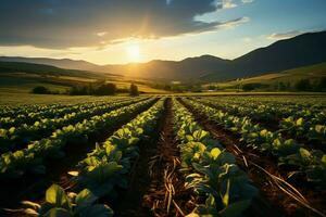 hermosa ver de un té campo plantación, viñedo granja o fresa jardín en el verde colinas a amanecer concepto por ai generado foto