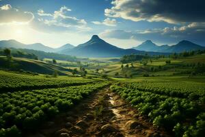 hermosa ver de un té campo plantación, viñedo granja o fresa jardín en el verde colinas a amanecer concepto por ai generado foto