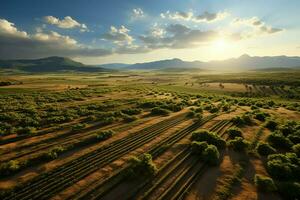 Beautiful view of a tea field plantation, vineyard farm or strawberry garden in the green hills at sunrise concept by AI Generated photo