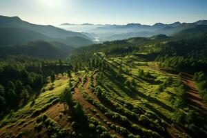 hermosa ver de un té campo plantación, viñedo granja o fresa jardín en el verde colinas a amanecer concepto por ai generado foto