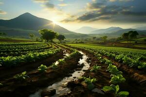 Beautiful view of a tea field plantation, vineyard farm or strawberry garden in the green hills at sunrise concept by AI Generated photo