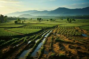 Beautiful view of a tea field plantation, vineyard farm or strawberry garden in the green hills at sunrise concept by AI Generated photo