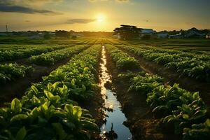 hermosa ver de un té campo plantación, viñedo granja o fresa jardín en el verde colinas a amanecer concepto por ai generado foto