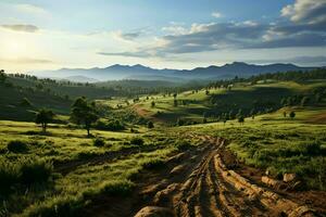 Beautiful view of a tea field plantation, vineyard farm or strawberry garden in the green hills at sunrise concept by AI Generated photo