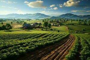 Beautiful view of a tea field plantation, vineyard farm or strawberry garden in the green hills at sunrise concept by AI Generated photo