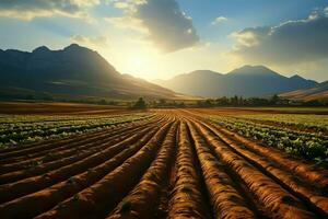 hermosa ver de un té campo plantación, viñedo granja o fresa jardín en el verde colinas a amanecer concepto por ai generado foto