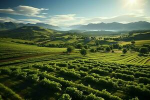 hermosa ver de un té campo plantación, viñedo granja o fresa jardín en el verde colinas a amanecer concepto por ai generado foto