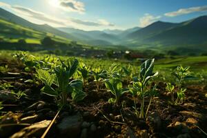 hermosa ver de un té campo plantación, viñedo granja o fresa jardín en el verde colinas a amanecer concepto por ai generado foto