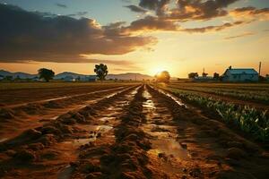 hermosa ver de un té campo plantación, viñedo granja o fresa jardín en el verde colinas a amanecer concepto por ai generado foto