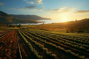 Beautiful view of a tea field plantation, vineyard farm or strawberry garden in the green hills at sunrise concept by AI Generated photo