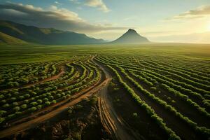 hermosa ver de un té campo plantación, viñedo granja o fresa jardín en el verde colinas a amanecer concepto por ai generado foto