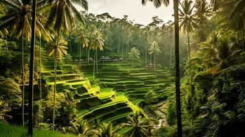 Ancient pura ulun danu bratan, besakih or famous hindu temple and tourist in bali island at sunrise concept by AI Generated photo