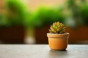 Potted succulent plant gasteria or small cactus with copy space. Home gardening and minimalist plant concept by AI Generated photo