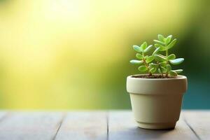 en conserva suculento planta gasteria o pequeño cactus con Copiar espacio. hogar jardinería y minimalista planta concepto por ai generado foto