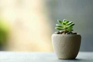 Potted succulent plant gasteria or small cactus with copy space. Home gardening and minimalist plant concept by AI Generated photo