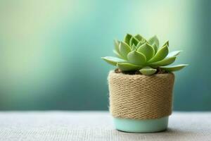 Potted succulent plant gasteria or small cactus with copy space. Home gardening and minimalist plant concept by AI Generated photo