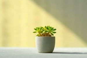 Potted succulent plant gasteria or small cactus with copy space. Home gardening and minimalist plant concept by AI Generated photo