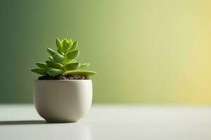 Potted succulent plant gasteria or small cactus with copy space. Home gardening and minimalist plant concept by AI Generated photo