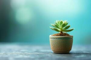 en conserva suculento planta gasteria o pequeño cactus con Copiar espacio. hogar jardinería y minimalista planta concepto por ai generado foto