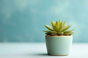 Potted succulent plant gasteria or small cactus with copy space. Home gardening and minimalist plant concept by AI Generated photo