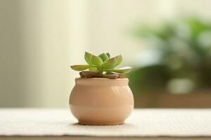 Potted succulent plant gasteria or small cactus with copy space. Home gardening and minimalist plant concept by AI Generated photo