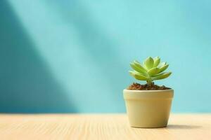 Potted succulent plant gasteria or small cactus with copy space. Home gardening and minimalist plant concept by AI Generated photo