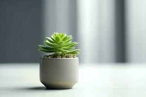 en conserva suculento planta gasteria o pequeño cactus con Copiar espacio. hogar jardinería y minimalista planta concepto por ai generado foto