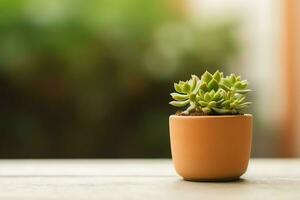 Potted succulent plant gasteria or small cactus with copy space. Home gardening and minimalist plant concept by AI Generated photo