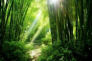 View of botanical green bamboo tropical forest in daylight. Oriental bamboo grove in china japanese concept by AI Generated photo