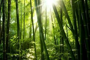 View of botanical green bamboo tropical forest in daylight. Oriental bamboo grove in china japanese concept by AI Generated photo