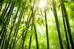 View of botanical green bamboo tropical forest in daylight. Oriental bamboo grove in china japanese concept by AI Generated photo