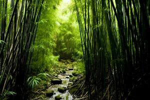 ver de botánico verde bambú tropical bosque en luz. oriental bambú arboleda en China japonés concepto por ai generado foto