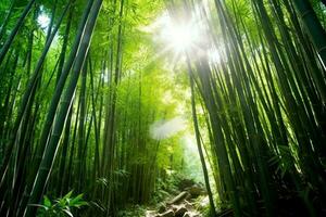 View of botanical green bamboo tropical forest in daylight. Oriental bamboo grove in china japanese concept by AI Generated photo