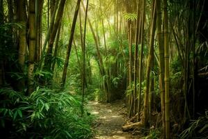 View of botanical green bamboo tropical forest in daylight. Oriental bamboo grove in china japanese concept by AI Generated photo