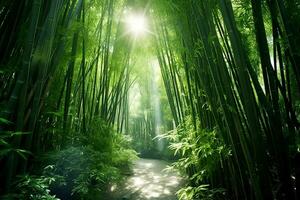 View of botanical green bamboo tropical forest in daylight. Oriental bamboo grove in china japanese concept by AI Generated photo