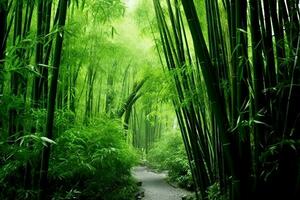 View of botanical green bamboo tropical forest in daylight. Oriental bamboo grove in china japanese concept by AI Generated photo