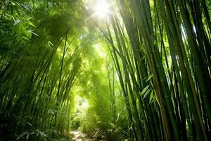 View of botanical green bamboo tropical forest in daylight. Oriental bamboo grove in china japanese concept by AI Generated photo