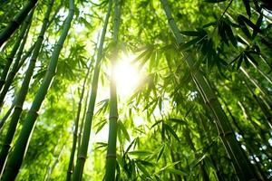 View of botanical green bamboo tropical forest in daylight. Oriental bamboo grove in china japanese concept by AI Generated photo